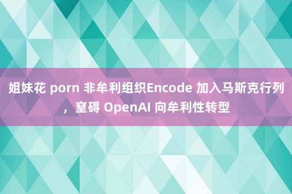 姐妹花 porn 非牟利组织Encode 加入马斯克行列，窒碍 OpenAI 向牟利性转型