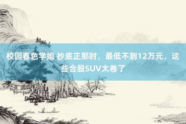 校园春色学姐 抄底正那时，最低不到12万元，这些合股SUV太卷了