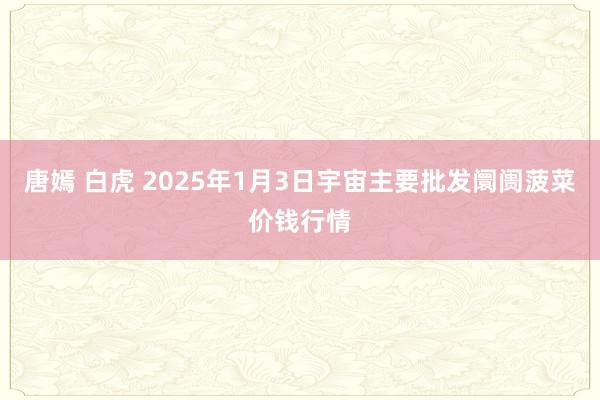 唐嫣 白虎 2025年1月3日宇宙主要批发阛阓菠菜价钱行情