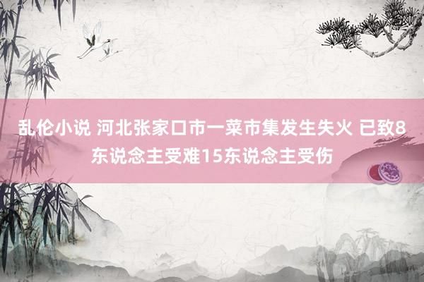 乱伦小说 河北张家口市一菜市集发生失火 已致8东说念主受难15东说念主受伤