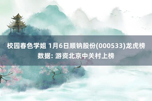 校园春色学姐 1月6日顺钠股份(000533)龙虎榜数据: 游资北京中关村上榜