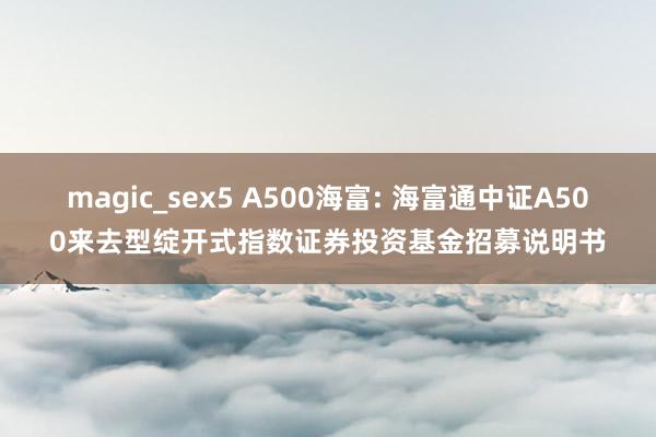 magic_sex5 A500海富: 海富通中证A500来去型绽开式指数证券投资基金招募说明书