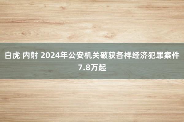 白虎 内射 2024年公安机关破获各样经济犯罪案件7.8万起