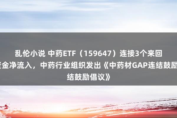 乱伦小说 中药ETF（159647）连接3个来回日获资金净流入，中药行业组织发出《中药材GAP连结鼓励倡议》