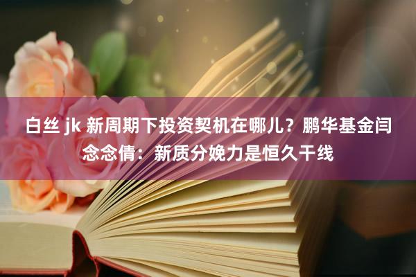 白丝 jk 新周期下投资契机在哪儿？鹏华基金闫念念倩：新质分娩力是恒久干线