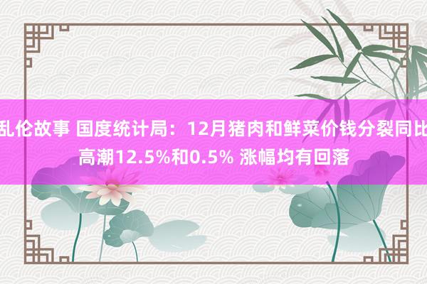 乱伦故事 国度统计局：12月猪肉和鲜菜价钱分裂同比高潮12.5%和0.5% 涨幅均有回落