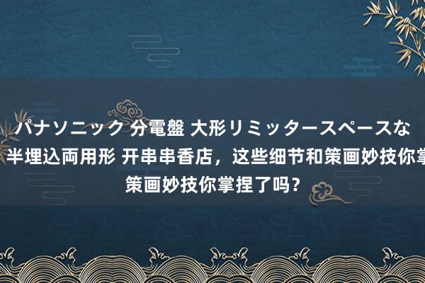 パナソニック 分電盤 大形リミッタースペースなし 露出・半埋込両用形 开串串香店，这些细节和策画妙技你掌捏了吗？