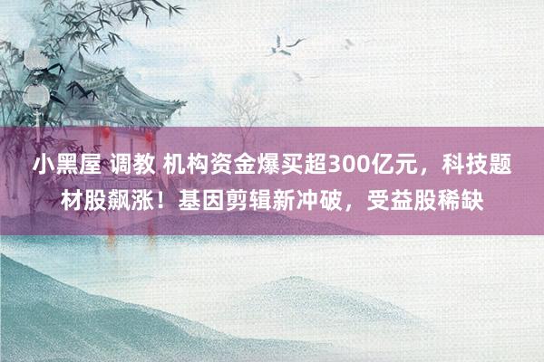 小黑屋 调教 机构资金爆买超300亿元，科技题材股飙涨！基因剪辑新冲破，受益股稀缺