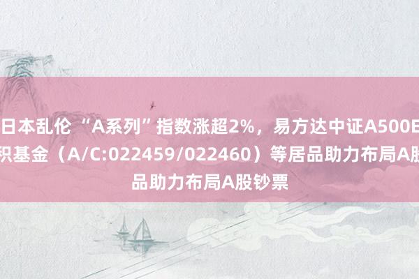 日本乱伦 “A系列”指数涨超2%，易方达中证A500ETF聚积基金（A/C:022459/022460）等居品助力布局A股钞票